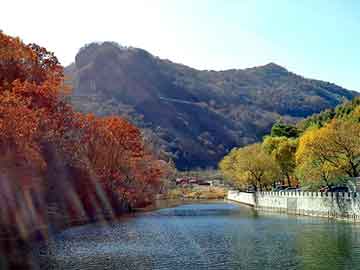 新澳天天开奖资料大全旅游团，九转灵葫